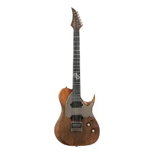 Solar T1.6AD 6 Telli Elektro Gitar (Aged Natural Matte Distressed) - 1