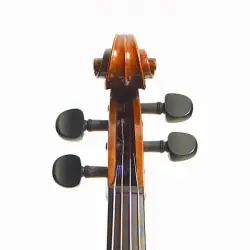 Stentor Messina 15.5