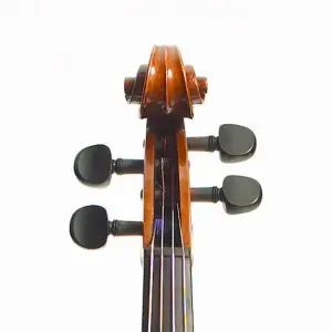 Stentor Messina 15.5