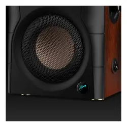 Swan D100 4″ Bluetooth Aktif Stereo Hoparlör - 7