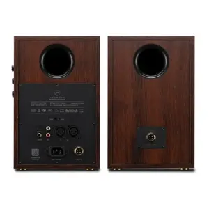 Swan D200 5″ Bluetooth Aktif Stereo Hoparlör - 2
