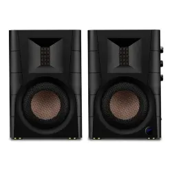Swan D200 5″ Bluetooth Aktif Stereo Hoparlör - 3