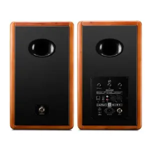 Swan M5A 8″ Wi-Fi/Bluetooth Aktif Hi-Fi Stereo Hoparlör - 3