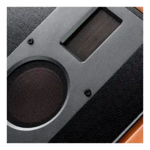 Swan M5A 8″ Wi-Fi/Bluetooth Aktif Hi-Fi Stereo Hoparlör - 5