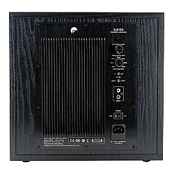 Swan SUB10G 10 inç Aktif Subwoofer - 2