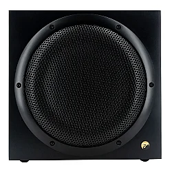 Swan SUB10G 10 inç Aktif Subwoofer - 3