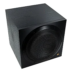 Swan SUB10G 10 inç Aktif Subwoofer - 4