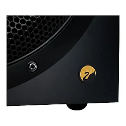 Swan SUB10G 10 inç Aktif Subwoofer - 9