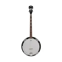 SX BJ454VS Tenor Banjo (Vintage Sunburst) - 1