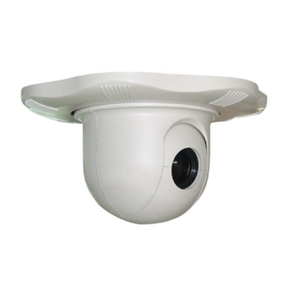 Taiden HCS-3313C High Quality Speed Dome Camera (PAL, ceiling) - 1