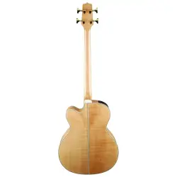 Takamine GB72CE-NAT Akustik Bas Gitar - 2