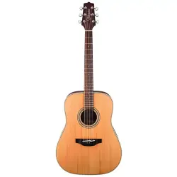Takamine GD20-NS Akustik Gitar - 1