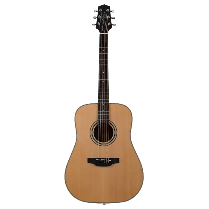 TAKAMINE GD20LHNS 20 Serisi Dreadnought Natural Solak Akustik Gitar - 1