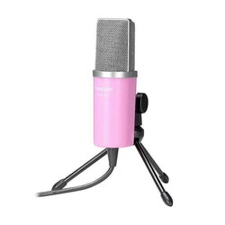 Takstar PCM-1200 Ağ Karaoke Mikrofonu - Thumbnail
