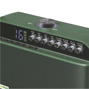 TALKBAG TB-100G 120W Kablosuz Mikrofonlu Taşınabilir Şarjlı Bluetooth Hoparlör - 2