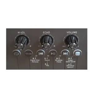 TALKBAG TB-200B Led Ekranlı 60w Tek El Telsiz Mikrofonlu Taşınabilir Hoparlor - 3