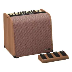 TC Helicon Harmony V100 2 Kanallı Looper ve Vokal İşlemcili Akustik Combo Amfi - 1