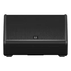 Turbosound TFM152M-AN 15