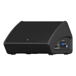 Turbosound TFM152M-AN 15