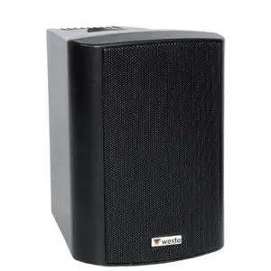 Westa WS-4TB Trafolu Kabin Tipi Hoparlör - 1