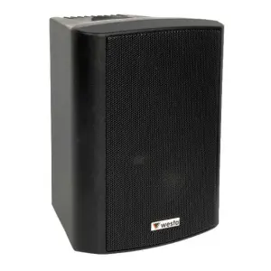 Westa WS-8TB Trafolu Kabin Tipi Hoparlör - 1
