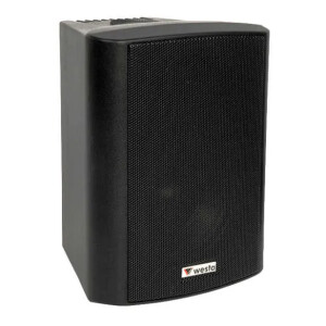 Westa WS-8TB Transformer Cabinet-Type Speaker - Westa