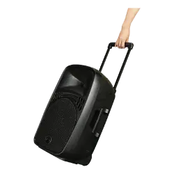 Wharfedale Pro EZ-12A 12 inç Taşınabilir Akülü Aktif Hoparlör (Bluetooth + 2 Kablosuz Mikrofon) - 3