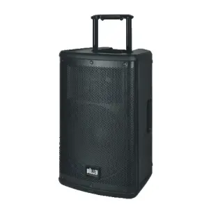 Wöller W-1230DSP 12” Taşınabilir DSP Efektli Bluetooth Hoparlör ve UHF Mikrofon Seti (300W) - 2