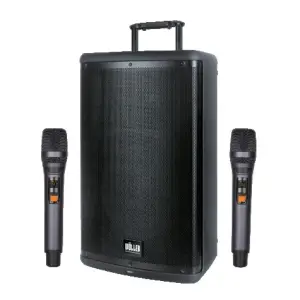 Wöller W-1540DSP 15” Taşınabilir DSP Efektli Bluetooth Hoparlör ve UHF Mikrofon Seti (400W) - 1