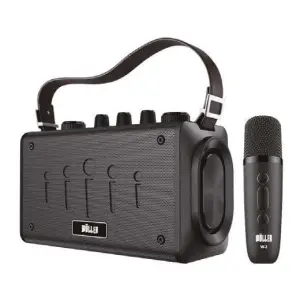 Wöller W-600E Taşınabilir Bluetooth Hoparlörlü Ses Sistemi (Kablosuz El Mikrofonlu) - 1