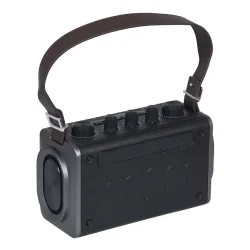 Wöller W-600E Taşınabilir Bluetooth Hoparlörlü Ses Sistemi (Kablosuz El Mikrofonlu) - 3