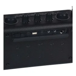 Wöller W-600E Taşınabilir Bluetooth Hoparlörlü Ses Sistemi (Kablosuz El Mikrofonlu) - 4