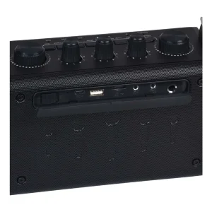 Wöller W-600E Taşınabilir Bluetooth Hoparlörlü Ses Sistemi (Kablosuz El Mikrofonlu) - 4