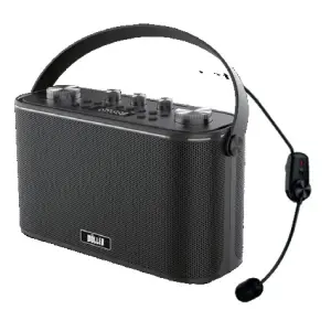 Wöller W-612H Taşınabilir Bluetooth Hoparlörlü Ses Sistemi (Kablosuz Headset Mikrofonlu) - 1