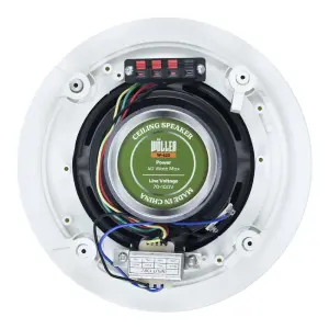 Wöller W-623 20 cm 40W 2 Yollu Hat Trafolu Tavan Hoparlörü - 2
