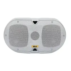 Wöller W-630B 2x4 inç Hat Trafolu Duvar Hoparlörü - Wöller