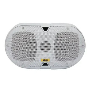 Wöller W-630B 2x4” Hat Trafolu Duvar Hoparlörü - Wöller