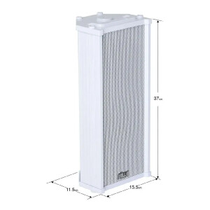 Wöller WCS-20 2x4” Hat Trafolu Duvar Hoparlörü (IP66 Su Geçirmez) - Wöller