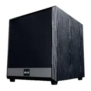 Wöller WSUB-10 10” Aktif Subbass Hoparlör (250W) - 1