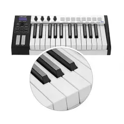 Worlde Blue Whale 25 Tuş Midi Klavye - 5