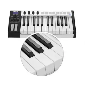 Worlde Blue Whale 25 Tuş Midi Klavye - 5