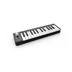 Worlde EASYKEY 25 Taşınabilir MIDI Klavye - 2