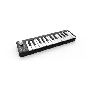 Worlde EASYKEY 25 Taşınabilir MIDI Klavye - 2