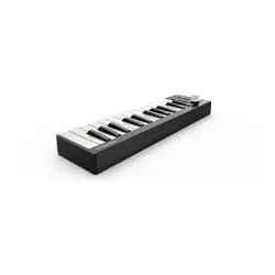Worlde EASYKEY 25 Taşınabilir MIDI Klavye - 3